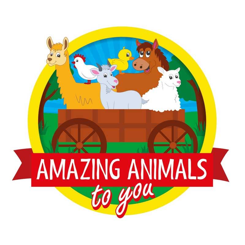 Amazing Animals To You Brisbane