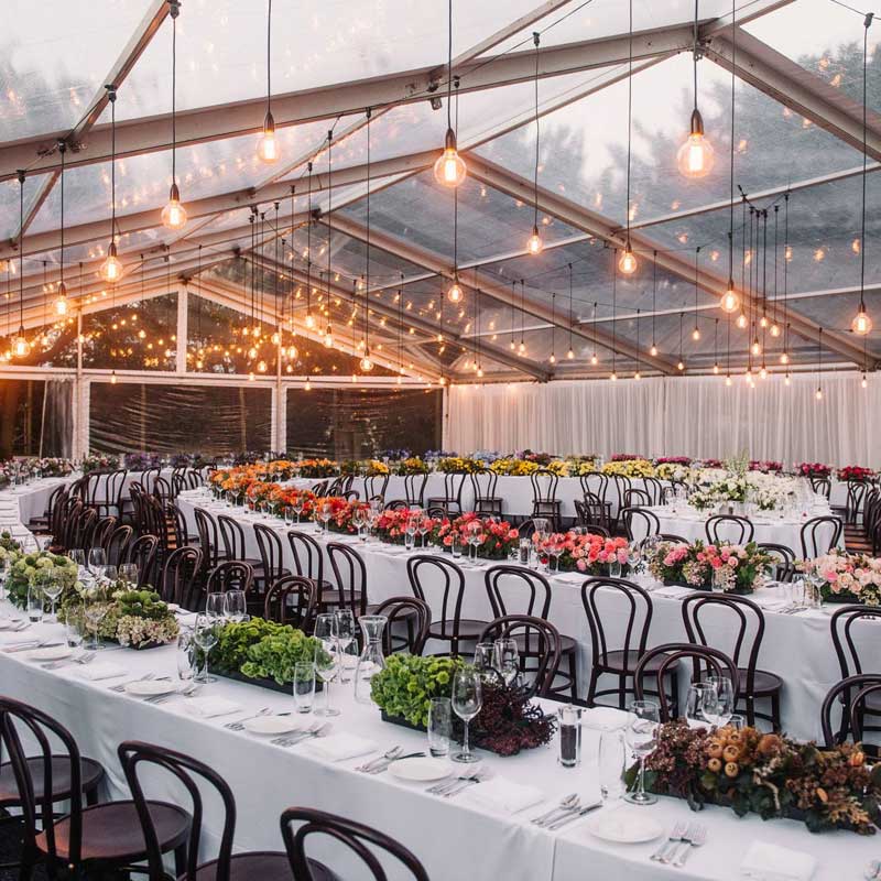 Bek Burrows Launceston TAS