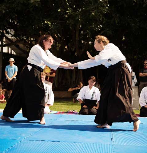 BrisAsia Festival Displays