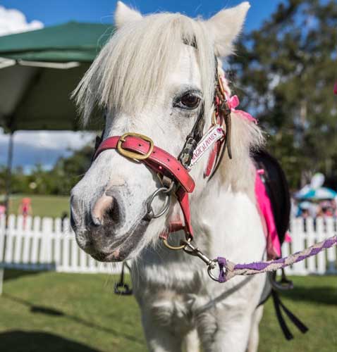 Hills Carnivale Childrens Activities