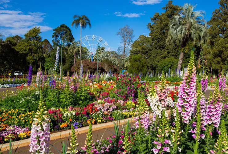 Toowoomba Carnival of Flowers